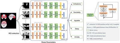 Brain morphometric features predict depression symptom phenotypes in late-life depression using a deep learning model